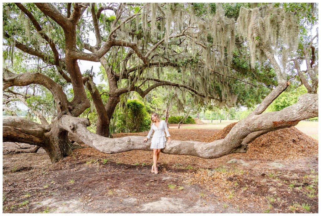 Portrait session in white dress at Boone Hall Plantation