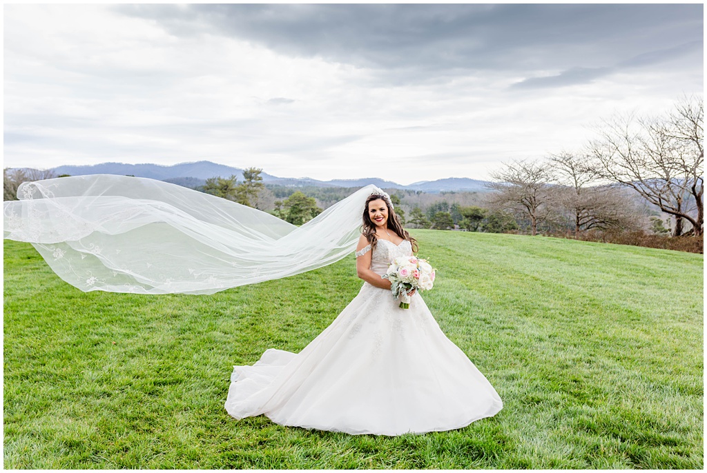 Bridal portrait outside the inn at biltmore estate with cathedral veil