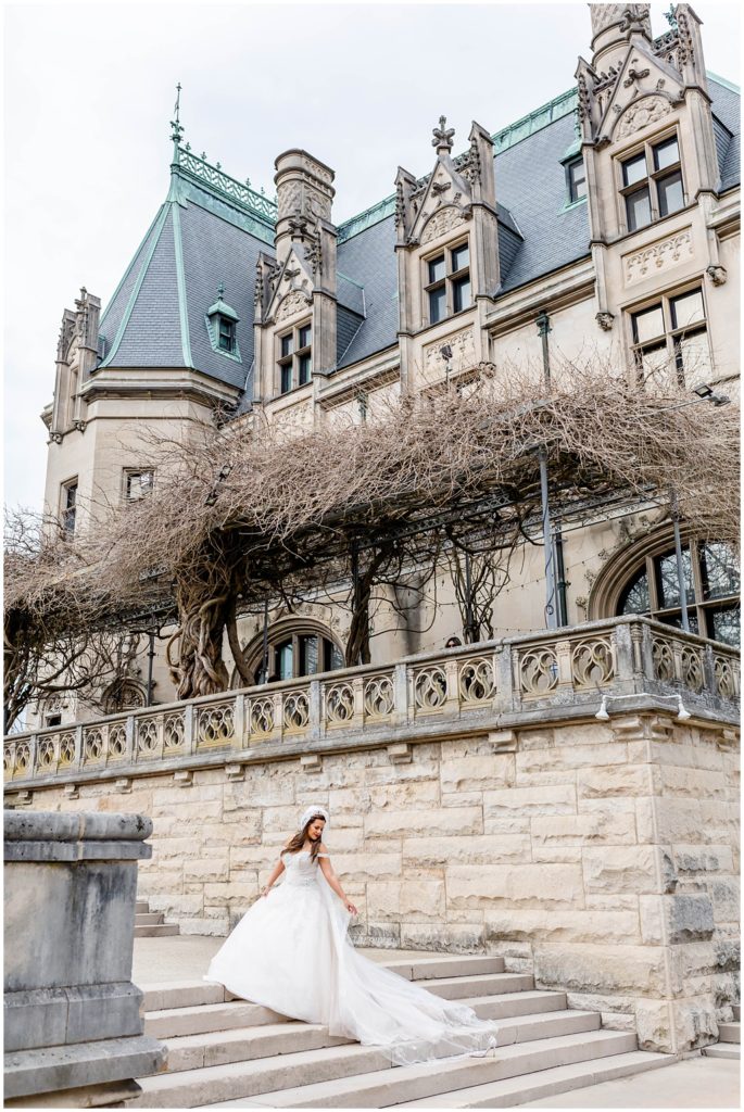 Bridal portrait on the stairs at the Biltmore Estate