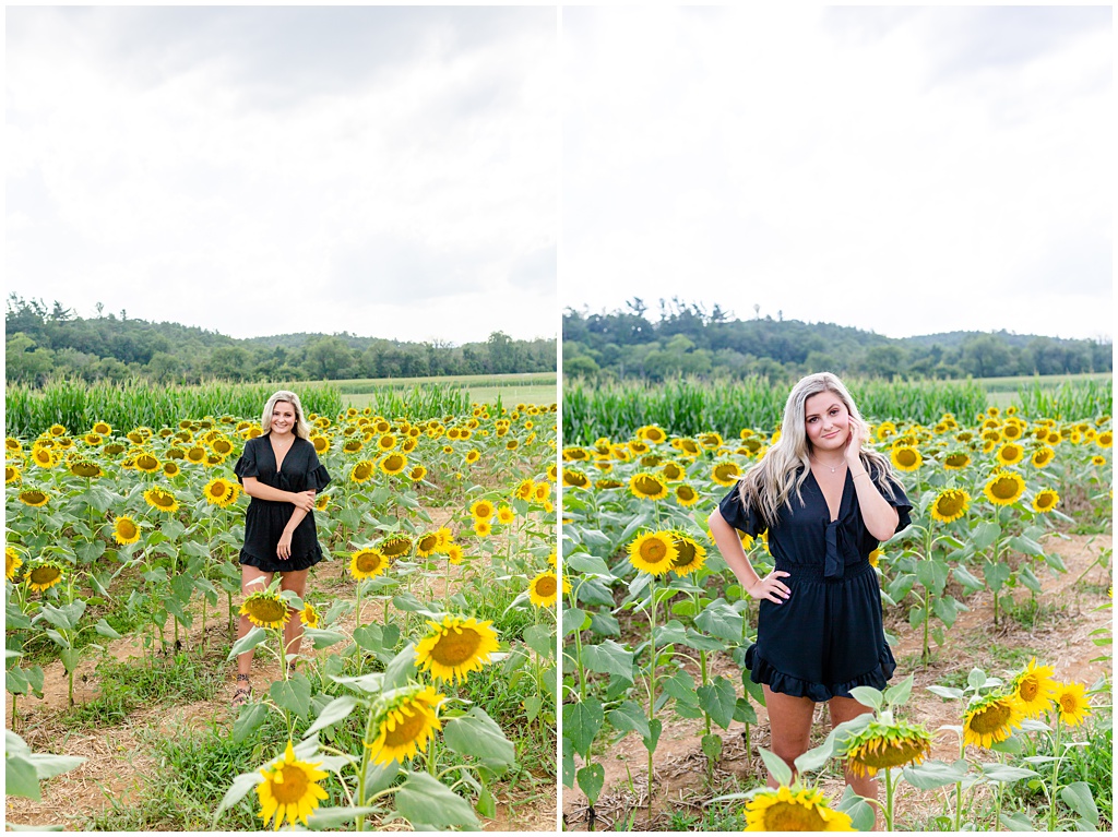 High School senior photos at the Biltmore Estate during peak sunflower season in the summer.