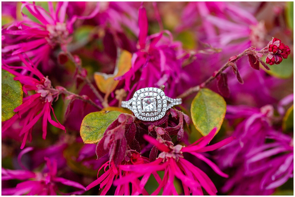 engagement ring in a bush of Azalea's from Reed's Jewelers.