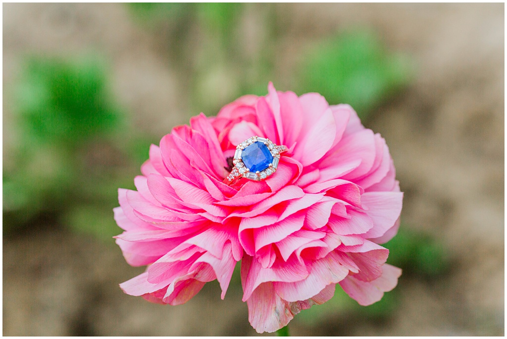 Close up image of a one of a kind blue sapphire engagement ring on a pink flower.