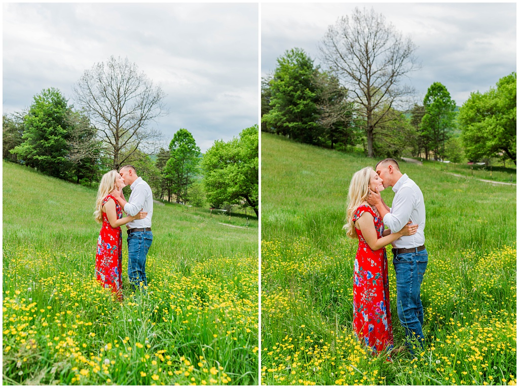 Wildflower engagement photos in the mountains of NC.