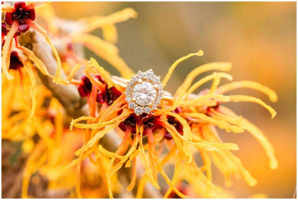 A beautiful diamond engagement ring on yellow flowers | Asheville Engagement Photographer