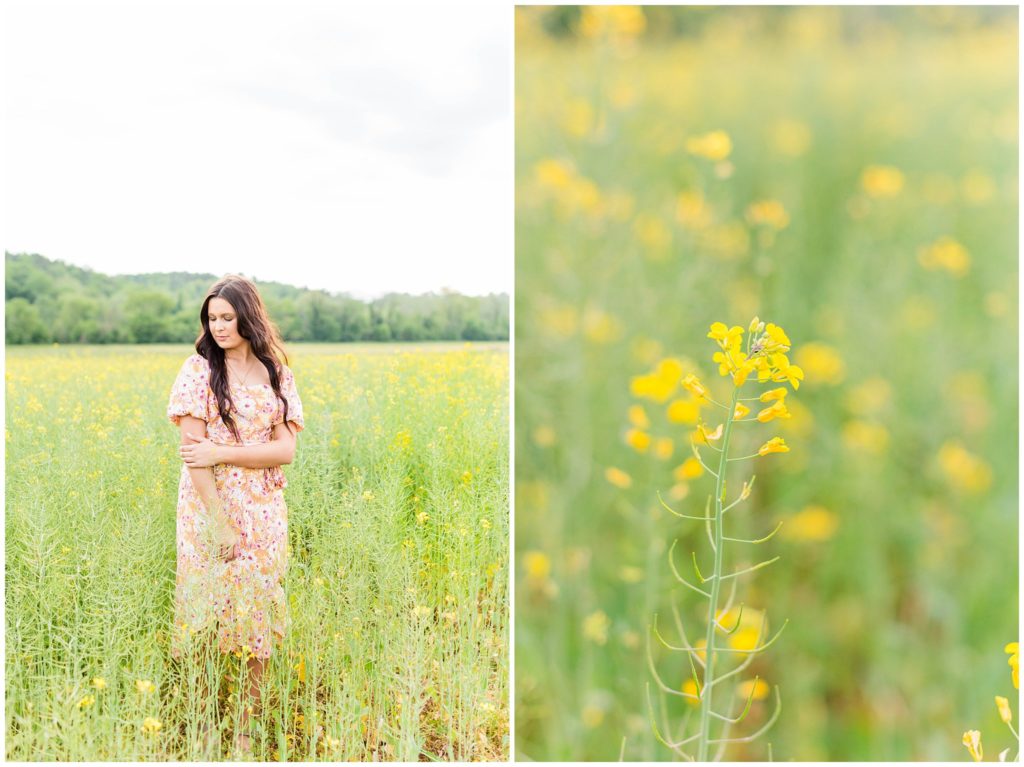 West Henderson High School spring senior photos a field of wildflowers | Asheville Senior Photographer
