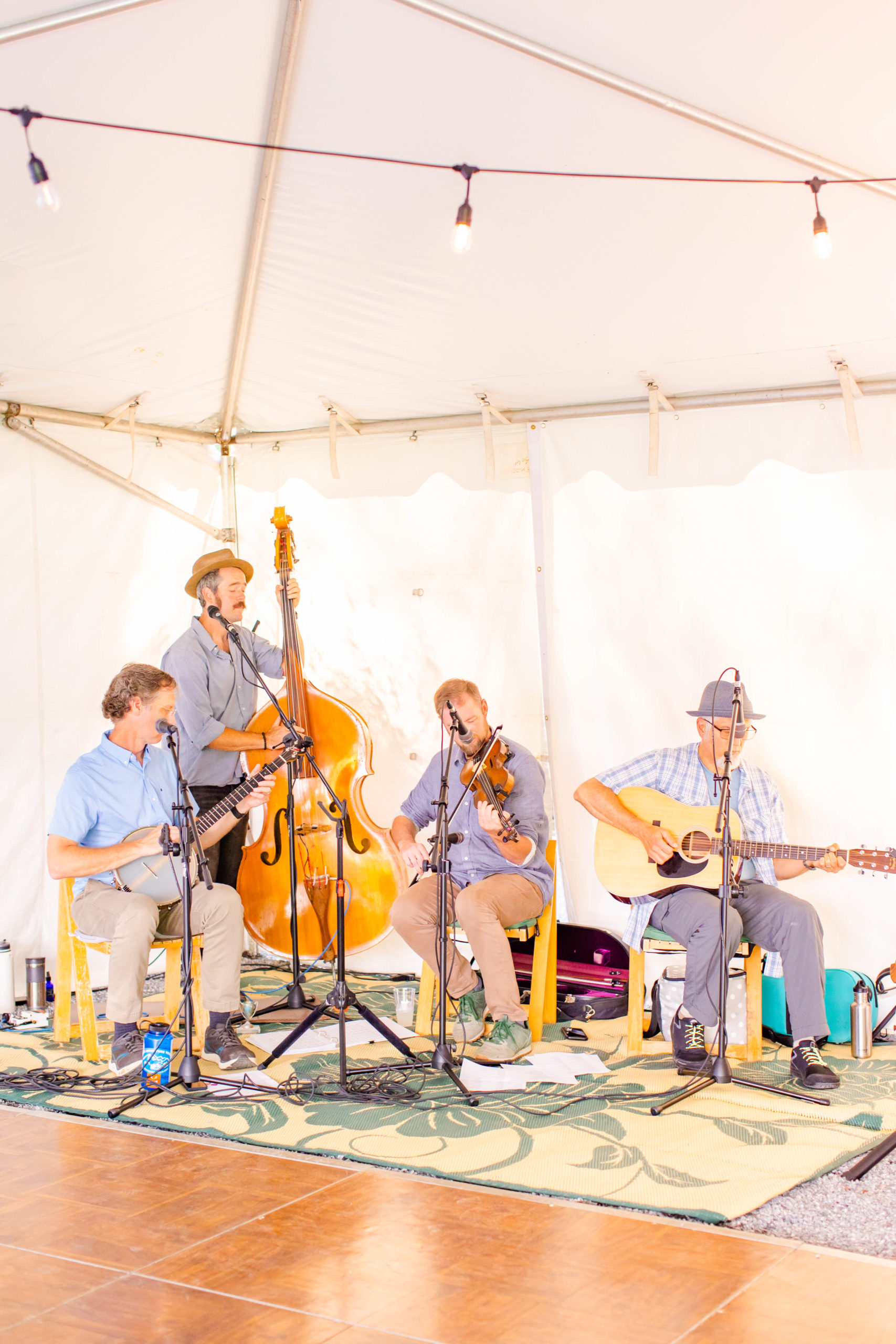 4 piece band plays under a tent for an intimate wedding