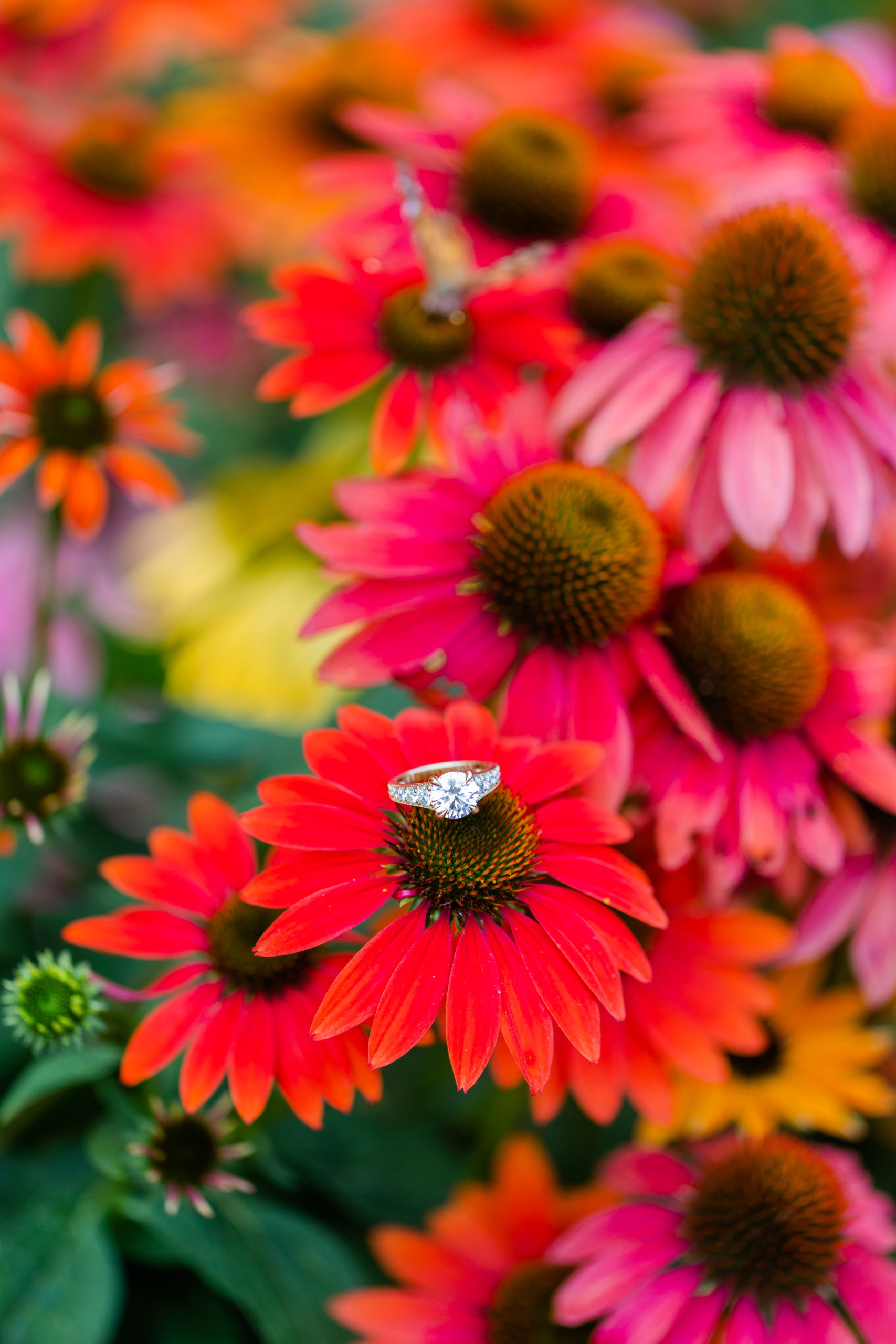 Engagement ring sitting on top of red flowers