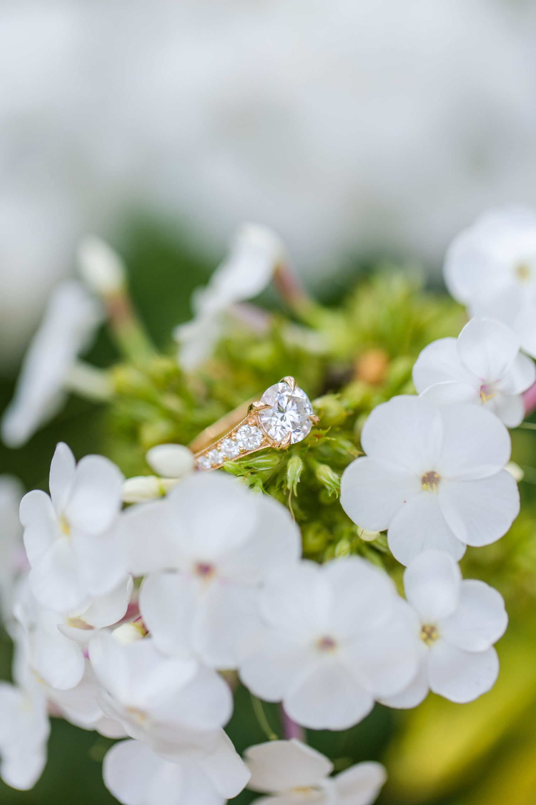 Engagement ring sitting on top of white flowers