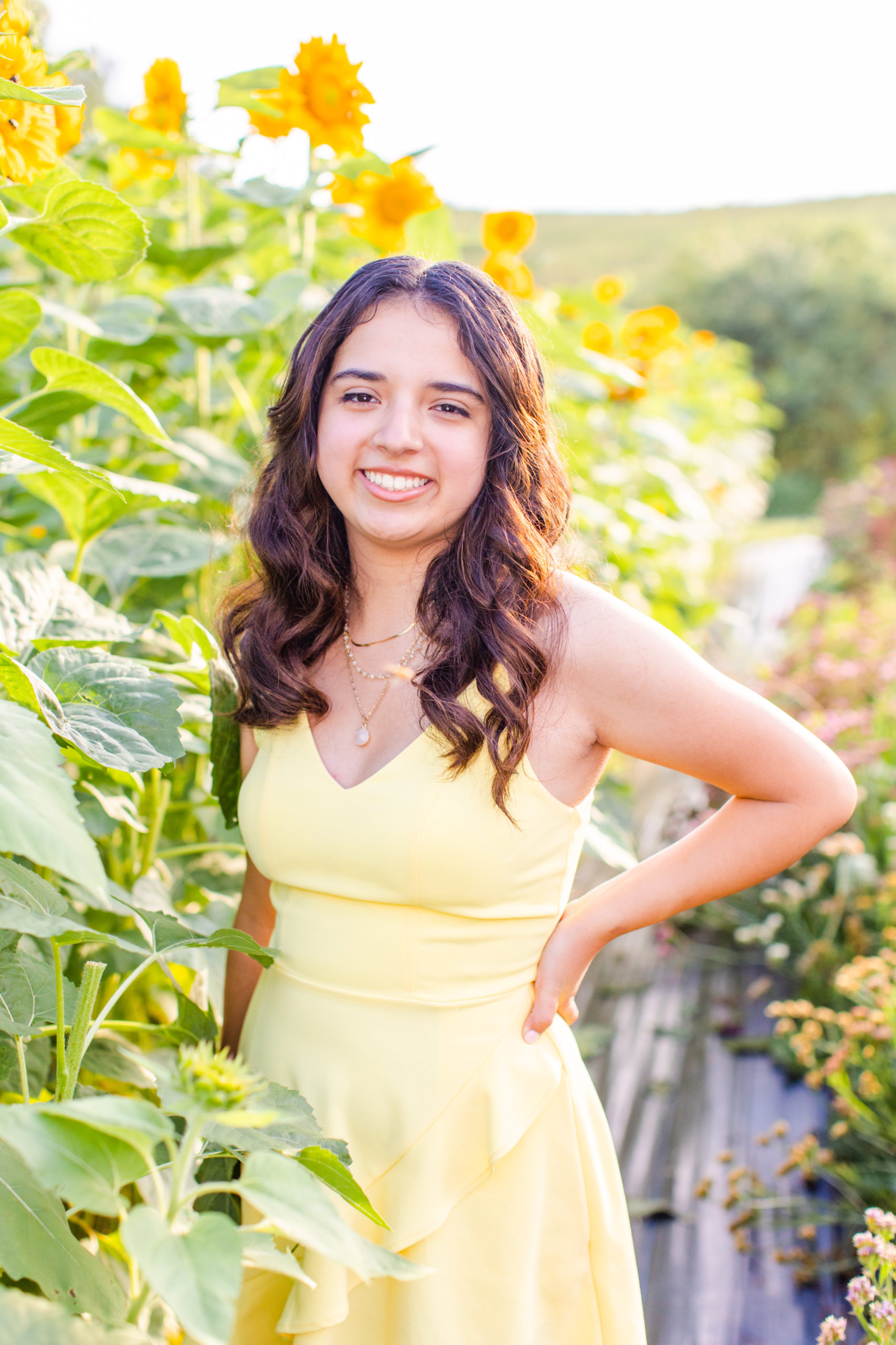 high school senior standing in front of sunflowers in yellow dress for senior session at flower farm