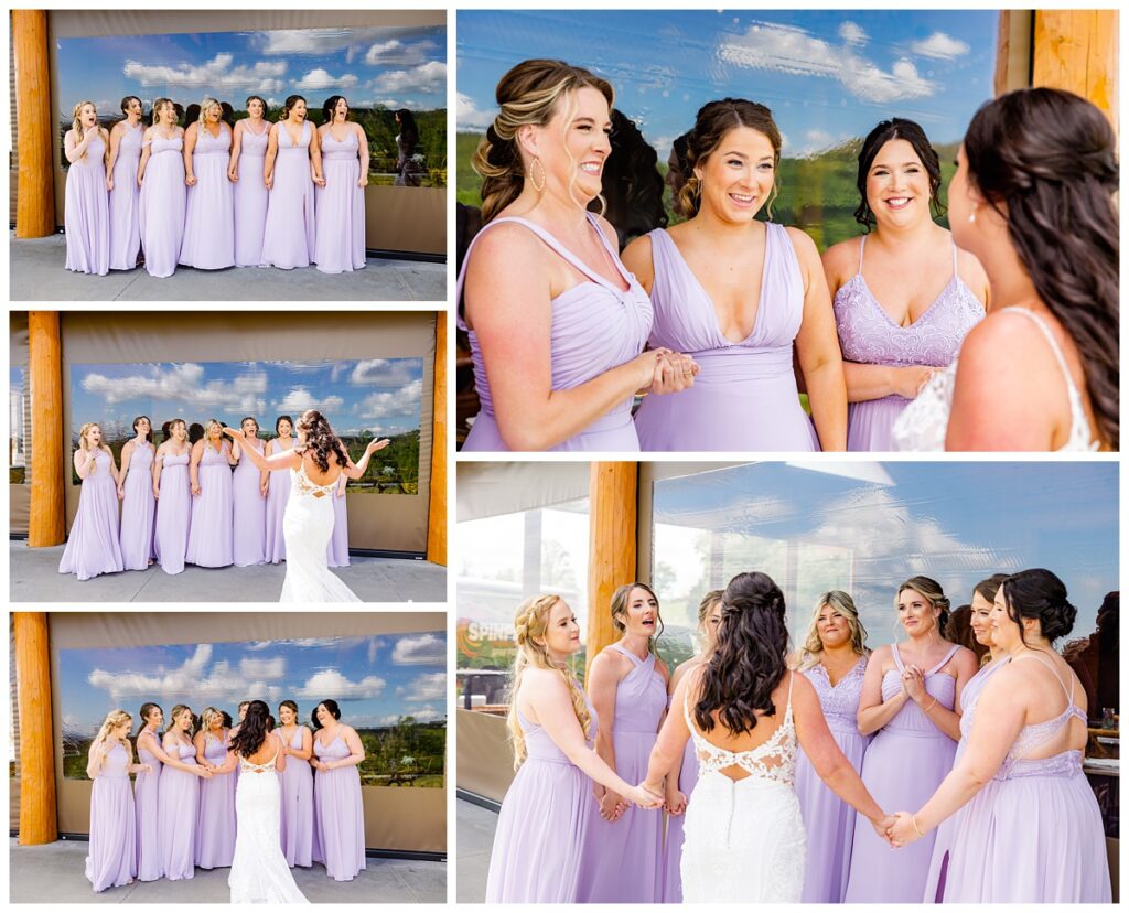 bride and bridesmaids at vineyard wedding in Asheville
