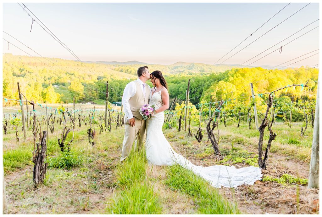 vineyard wedding in Asheville