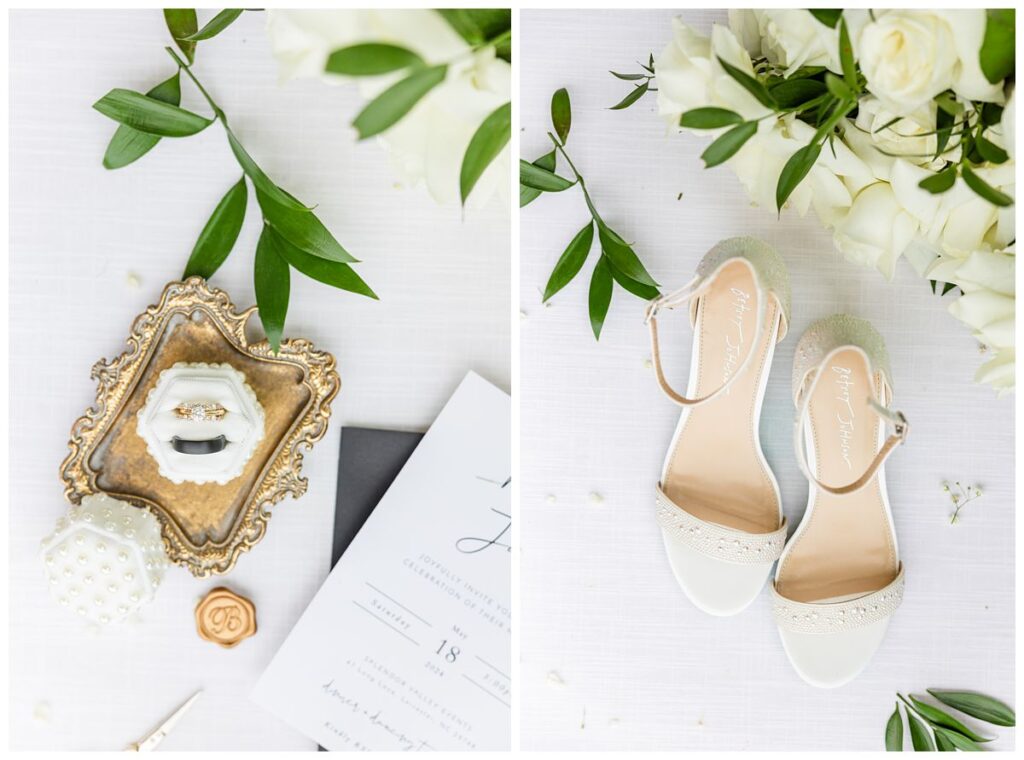 Blue Ridge Mountains wedding photographer